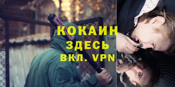 твердый Дмитровск