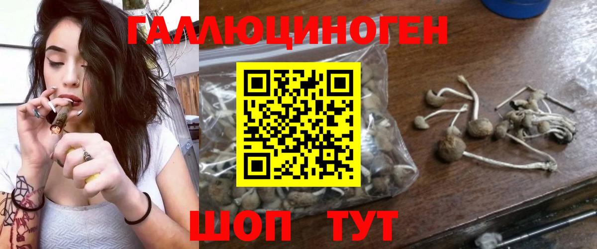 Сальск  Псилоцибиновые грибы мицелий  Вход с VPN 